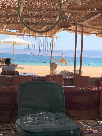 Habiba Beach Lodge-官方