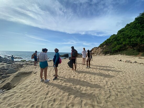 Playa Las Cuevas-利他必去景点