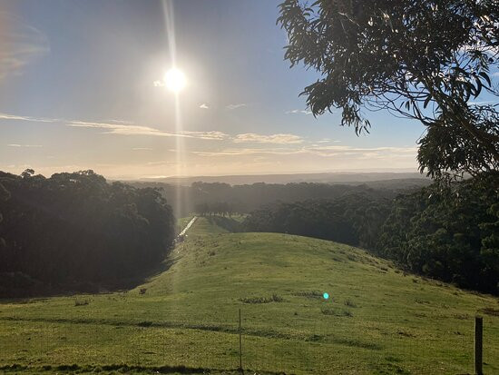 Southern Anchorage Retreat主图