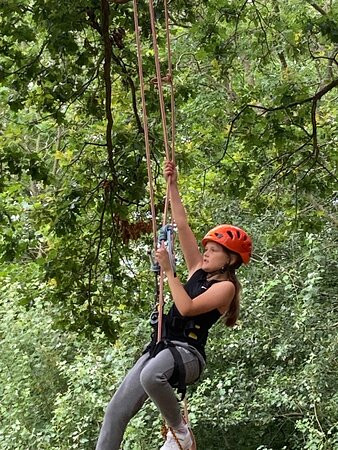 Goodleaf Tree Climbing-赖德必去景点