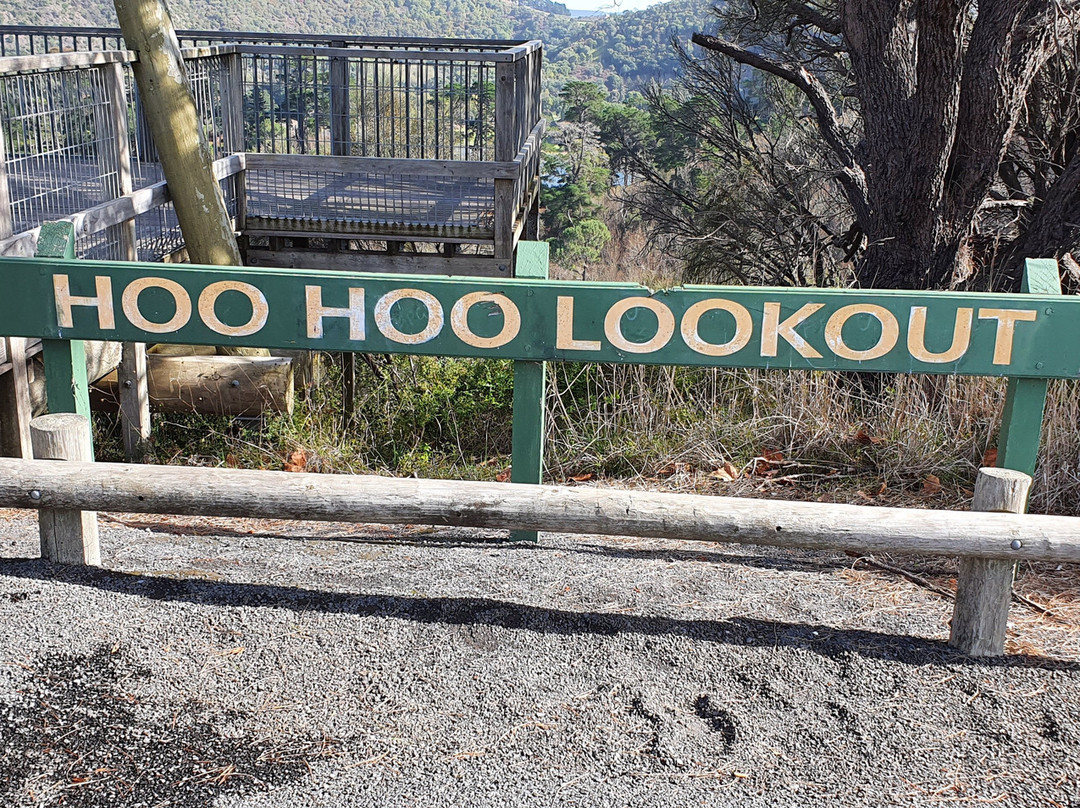 Hoo Hoo Lookout景点图片