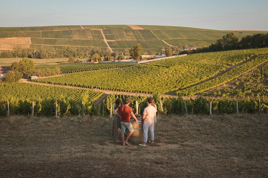 Domaine Philippe Raimbault-Sury-en-Vaux必去景点