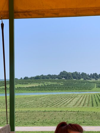 Eckert's Grafton Farm景点图片