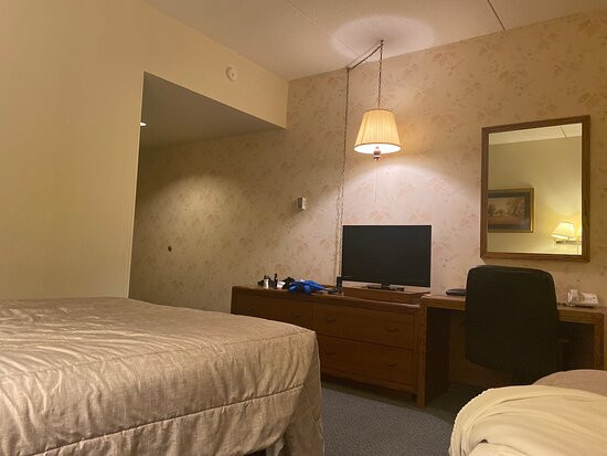 Kowality Motor Inn主图