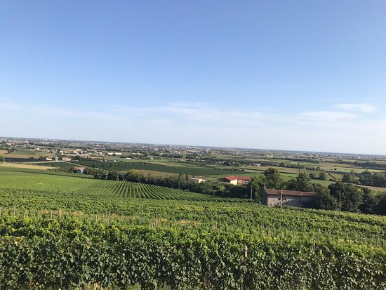 Corte Belvedere-官方