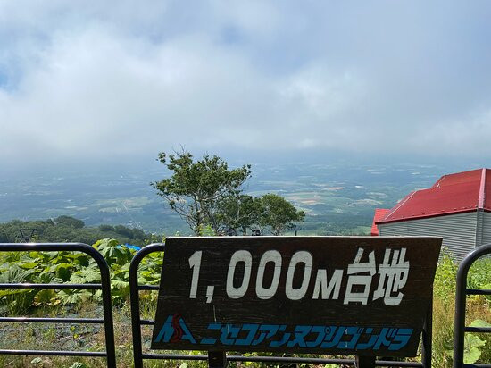 Niseko Annupuri Gondola景点图片