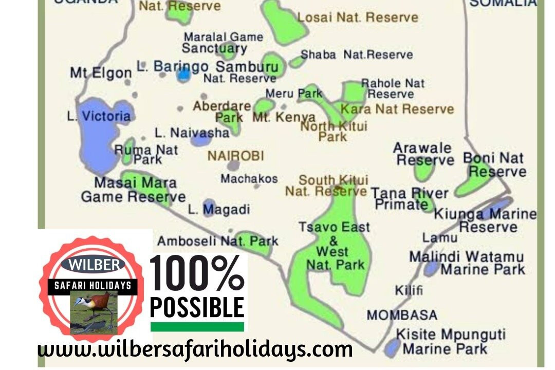 Wilber Safari Holidays-内罗毕必去景点