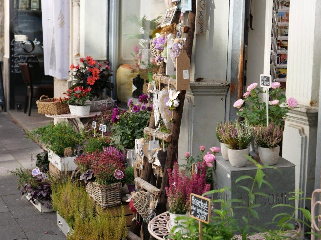 Hotel Alexander主图