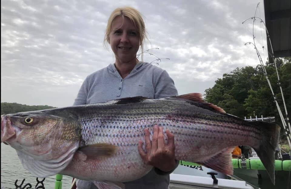 Bailey's Beaver Lake Striper Guide Service景点图片