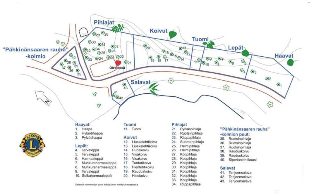 Lehtipuulajipuisto