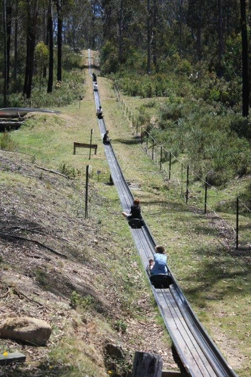 Corin Forest-Paddys River必去景点
