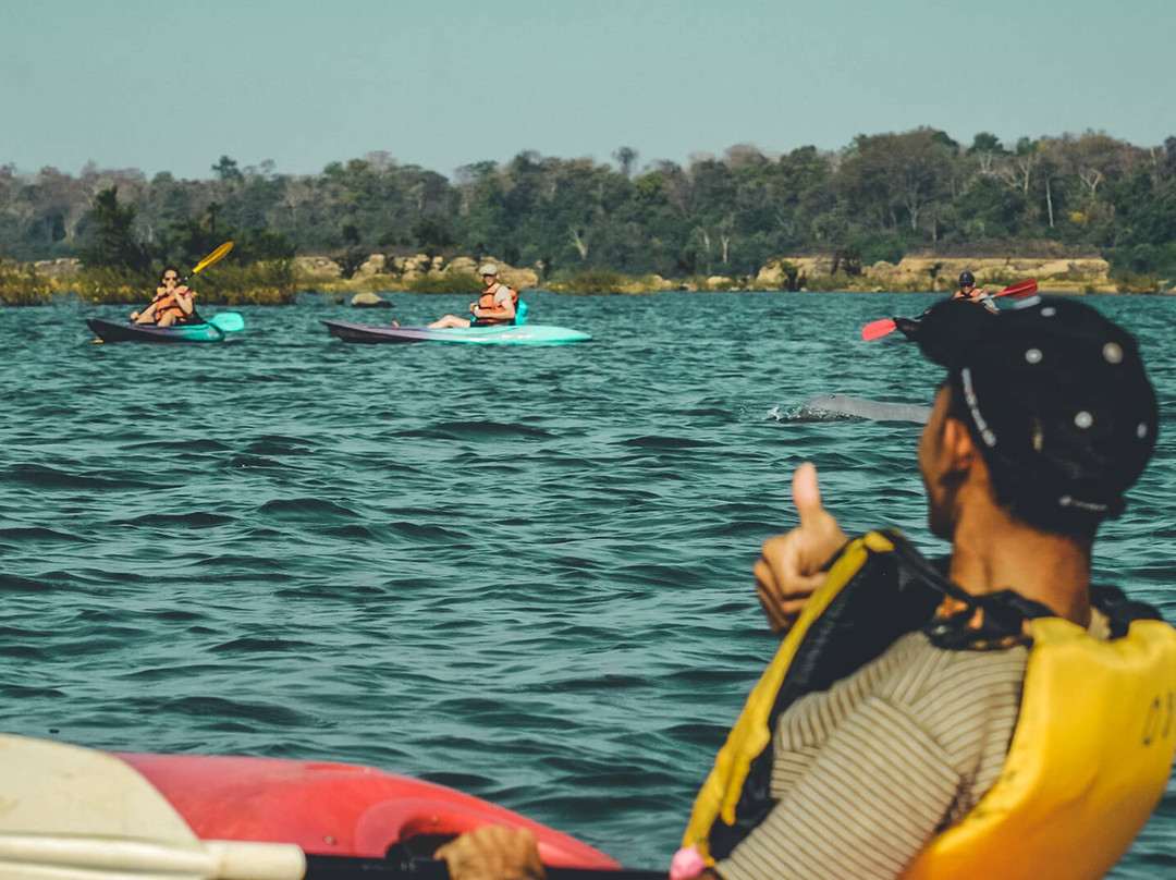 Dolphin Kayaking Adventures景点图片
