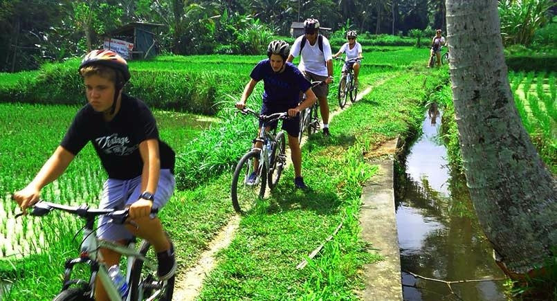 Dedut Bali Tour景点图片