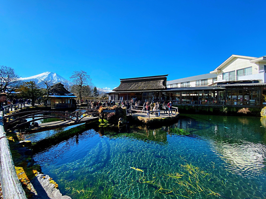 忍野村旅游攻略图片