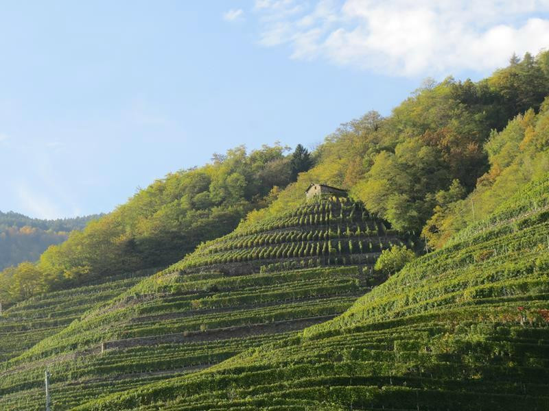 Bianzone旅游攻略图片