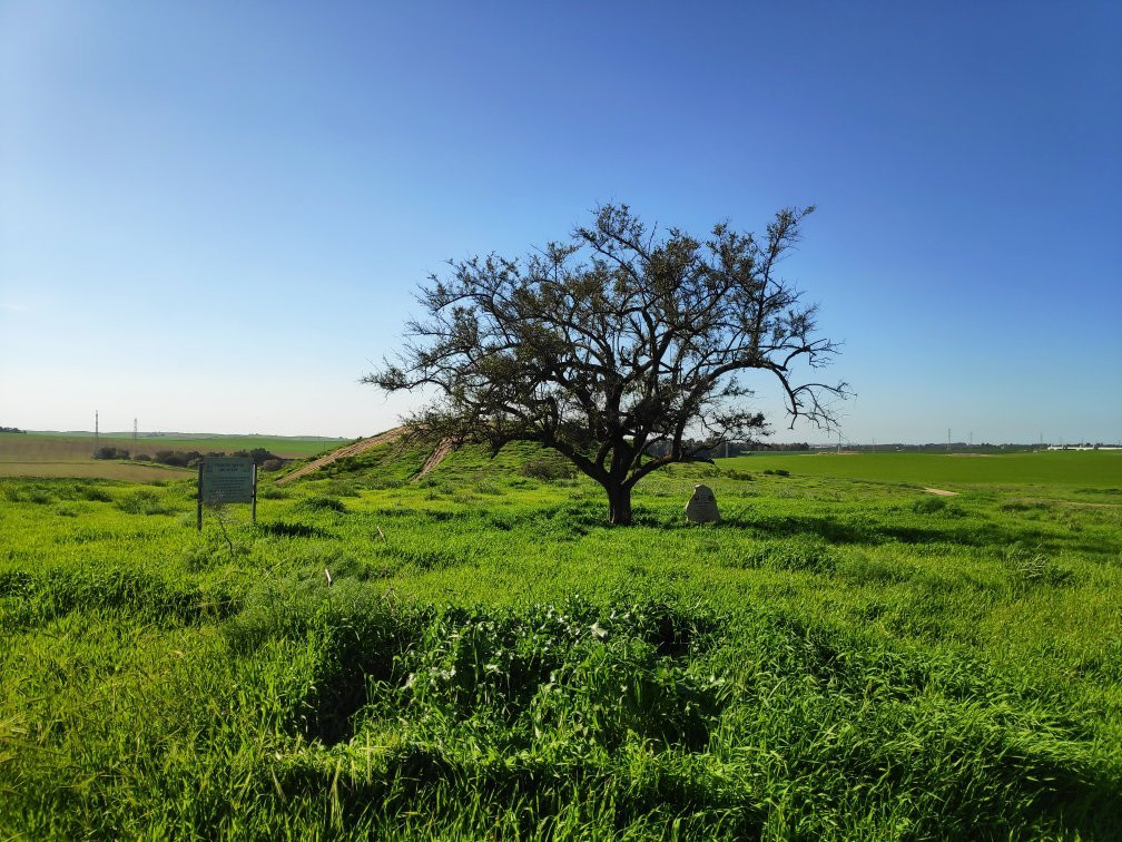 Kiryat Gat旅游攻略图片