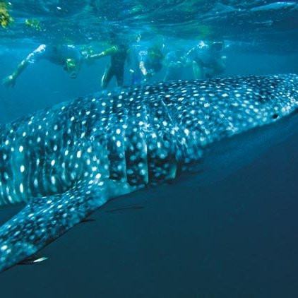 Arta Region旅游攻略图片