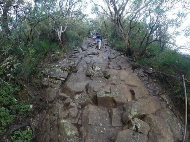 Mount Warning Summit Trail景点图片