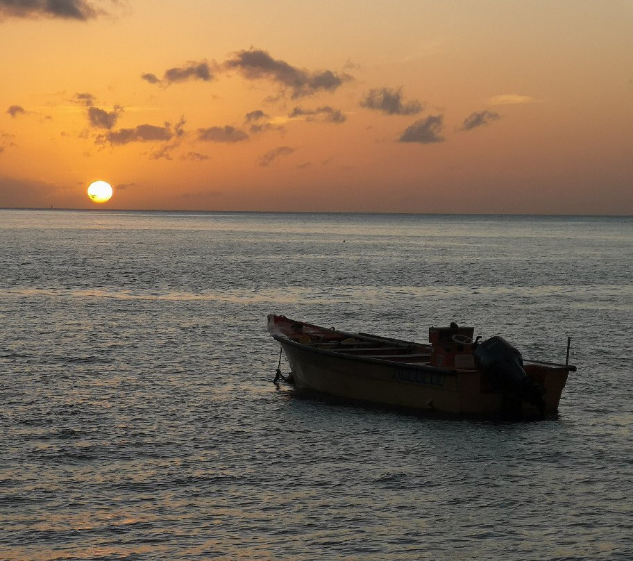 Découverte des Dauphins avec Jean-Guy-Le Precheur必去景点