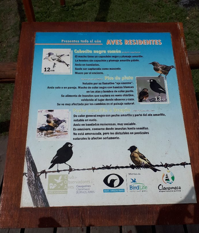 Las 7 cascadas del Arroyo Claromeco-Claromeco必去景点