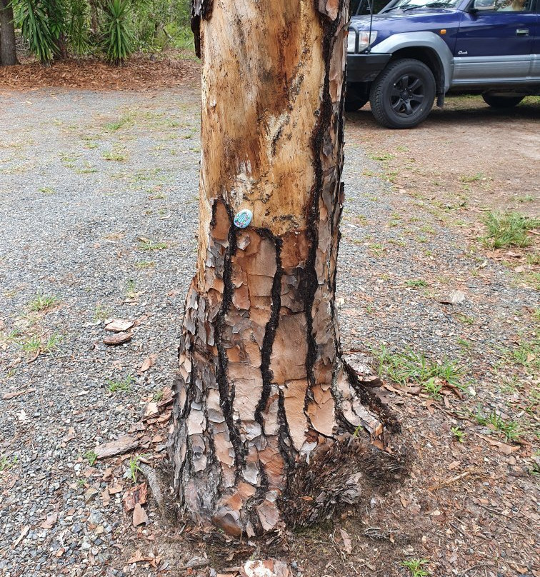 Nob Creek Pottery-Byfield必去景点