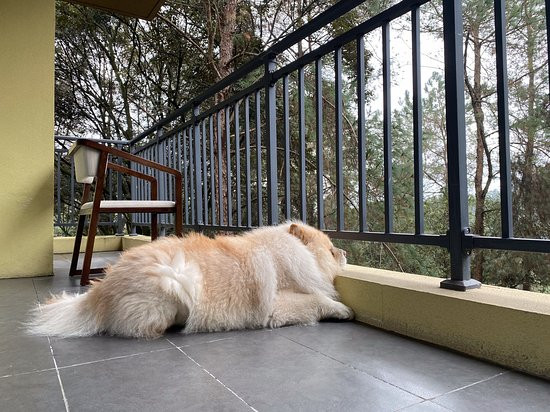 成都石象湖雅乐轩酒店主图