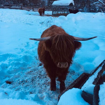 Val Martello-Martello必去景点