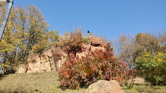 Red Rocks景点图片