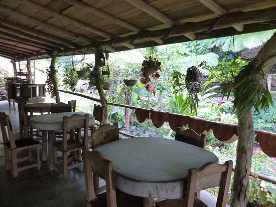 Ecoalojamiento El Manantial主图