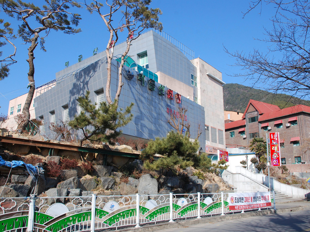 Mt. Mageumsan Hot Springs