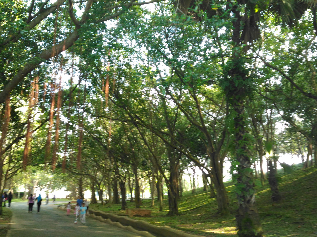 Putrajaya Botanical Garden景点图片