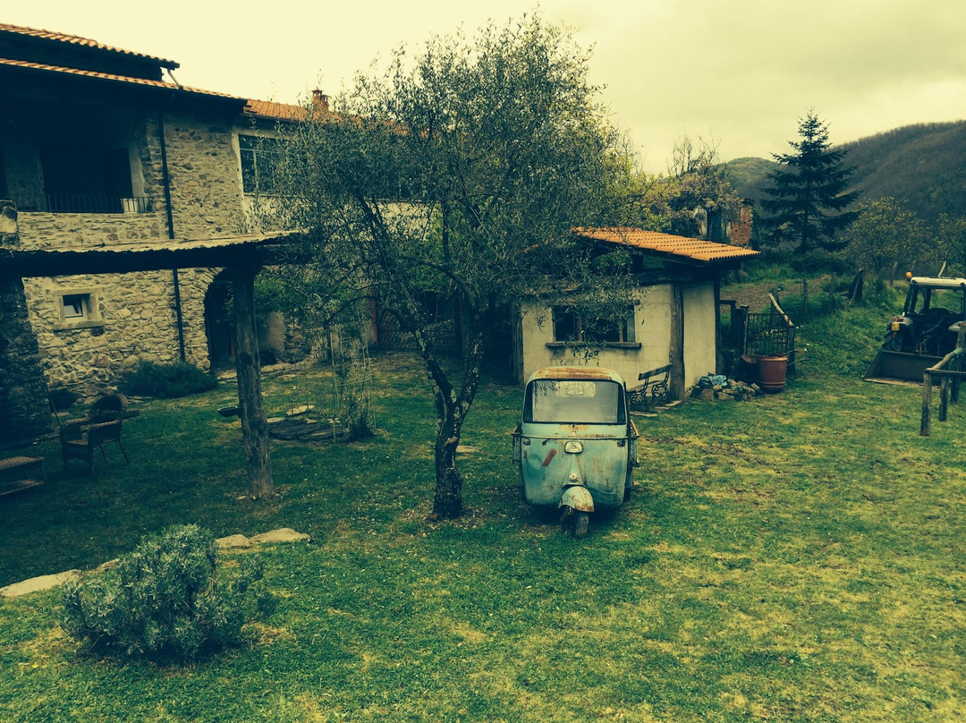 Guinadi餐馆和美食-Cà del Lupo Agriturismo