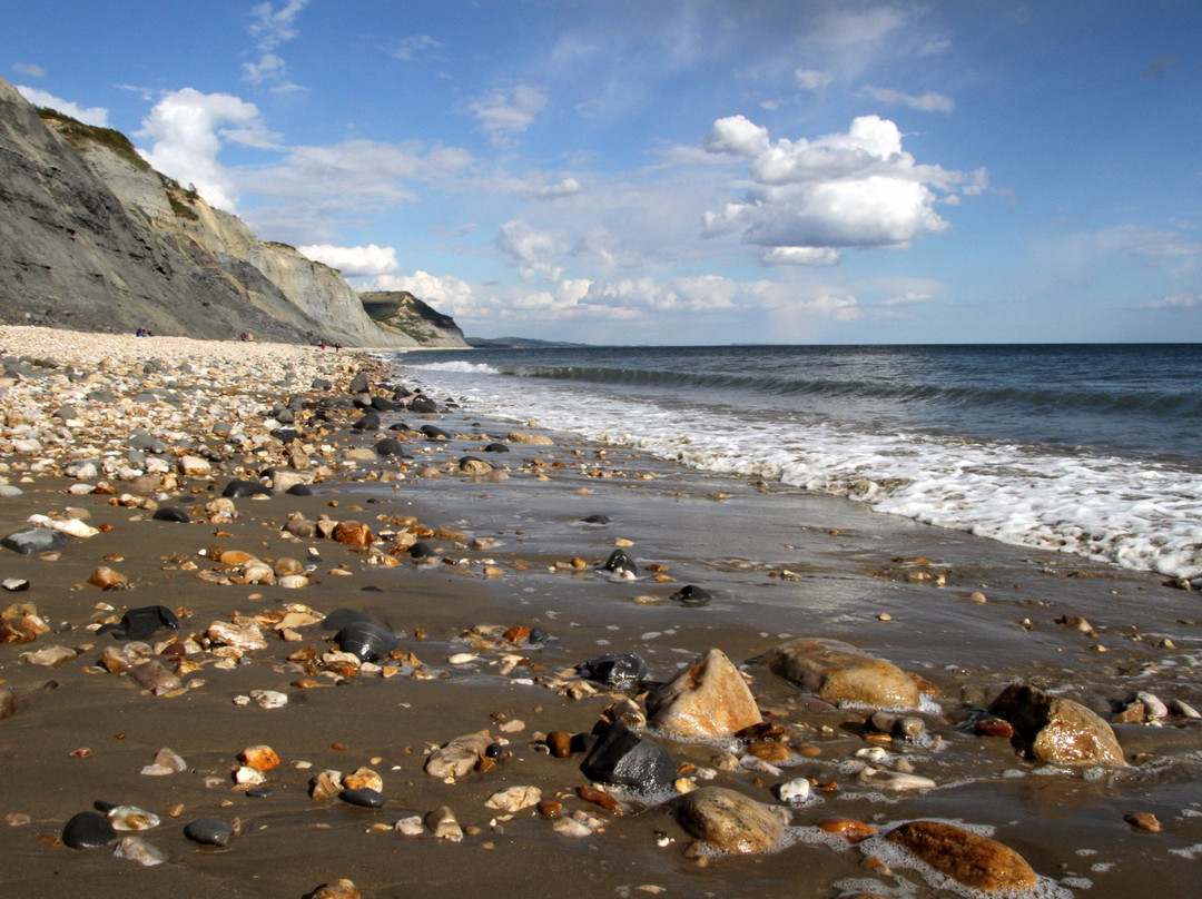 null-Charmouth