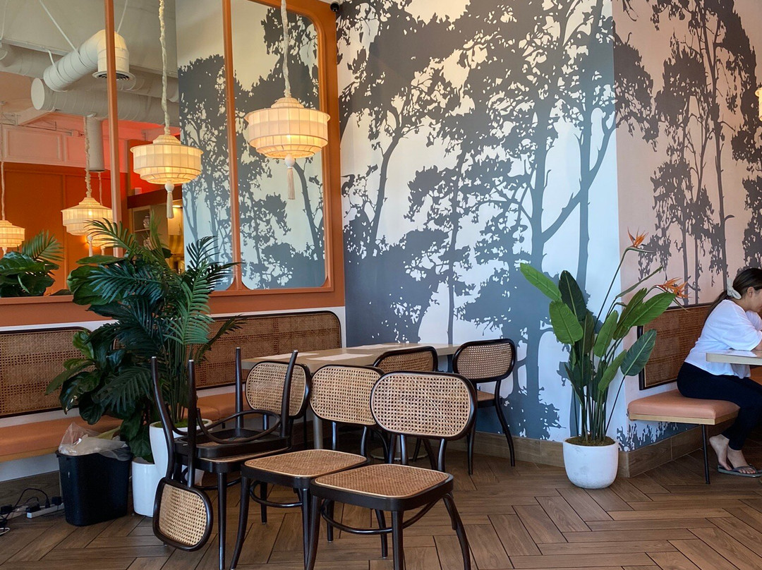 赛普拉斯旅游攻略图片