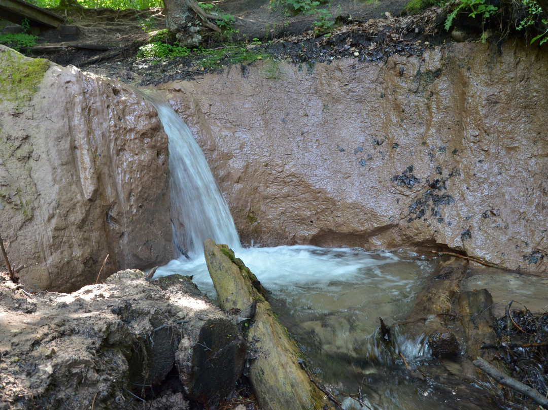 Manistee River Trail
