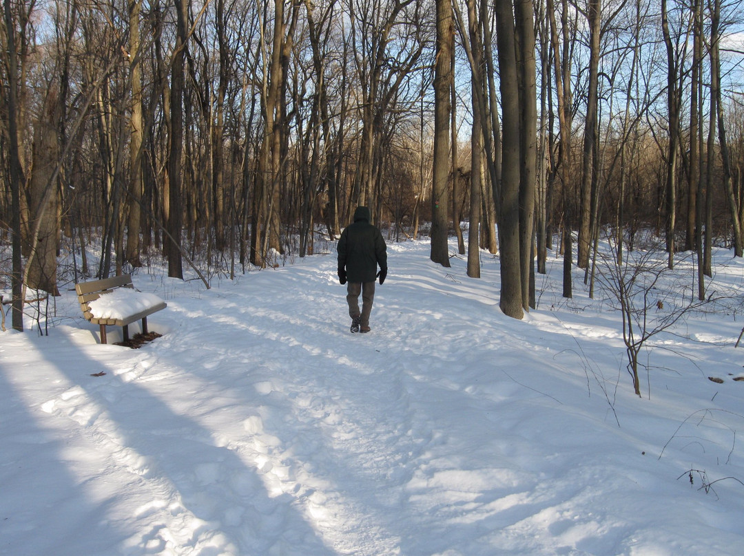 Demarest Nature Center景点图片