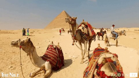 New Egypt旅游攻略图片