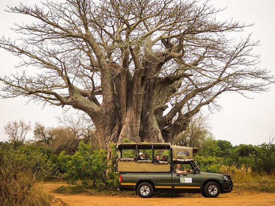 Taste Of The Bush African Journeys