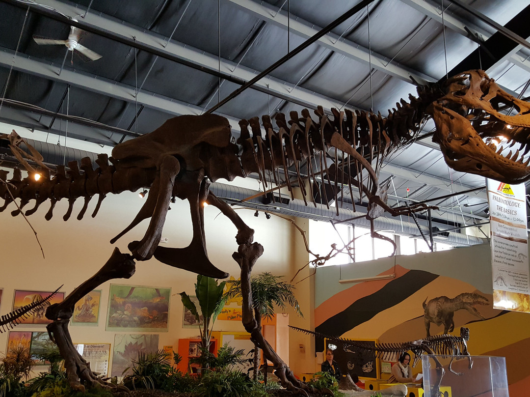 Rocky Mountain Dinosaur Resource Center景点图片