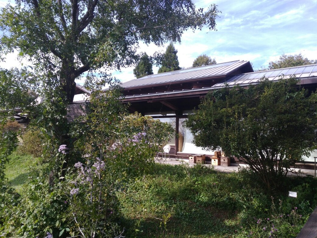 Iwamura Kazuo Picture-Book Hill Museum