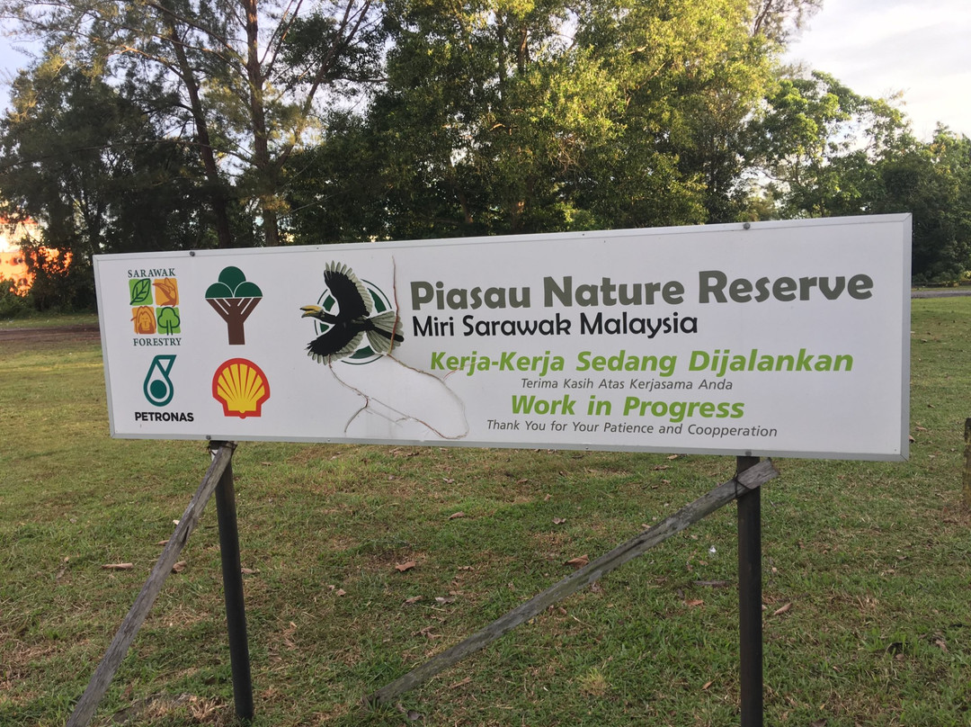 Piasau Nature Reserve景点图片