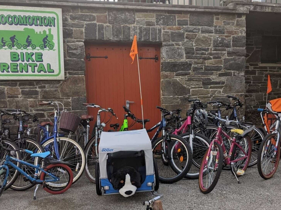 Locomotion Bike Rental-利默里克必去景点