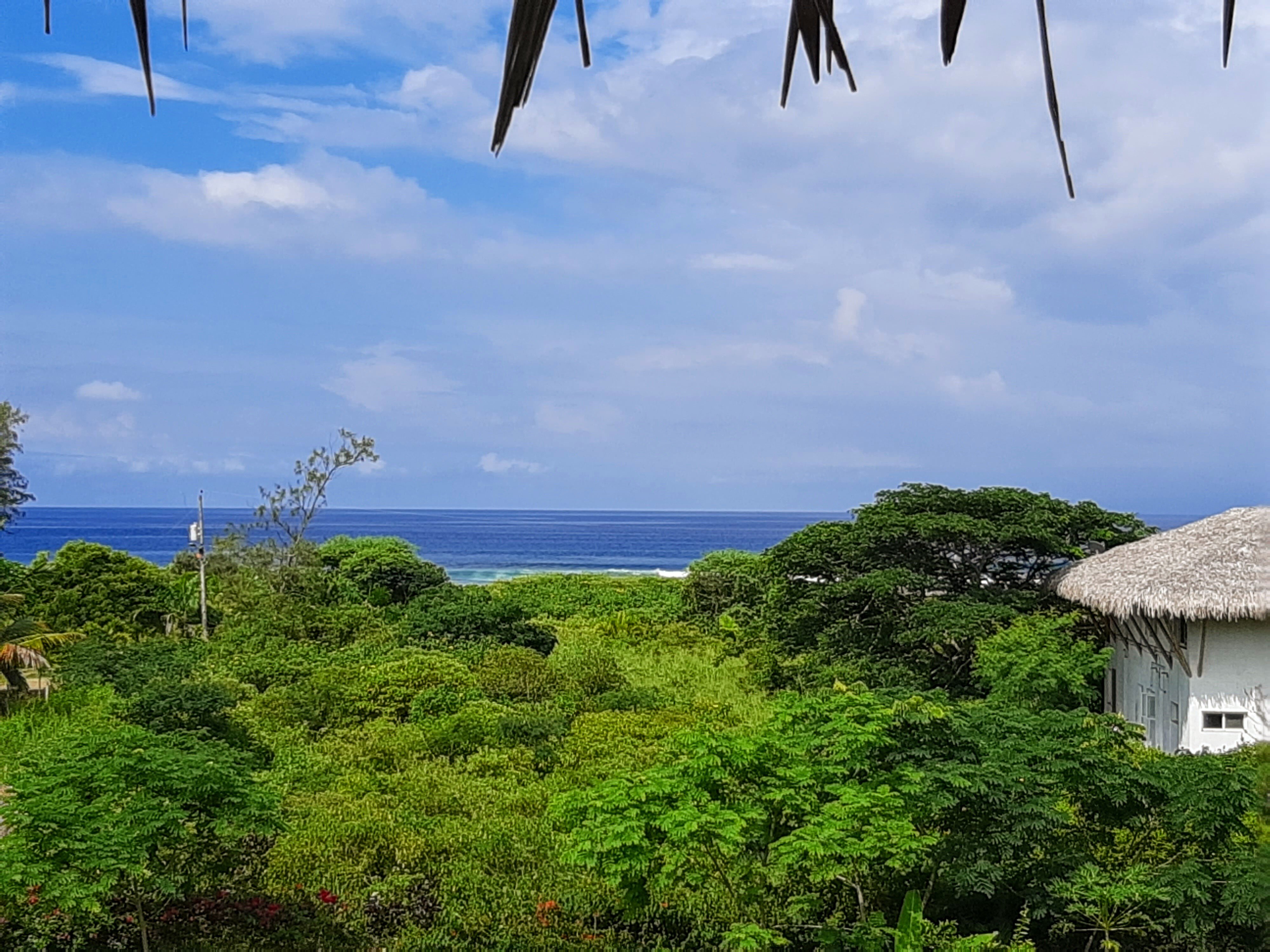 Hosteria Guachapeli-官方