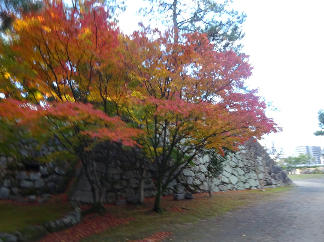 Fukuyamajo Park景点图片