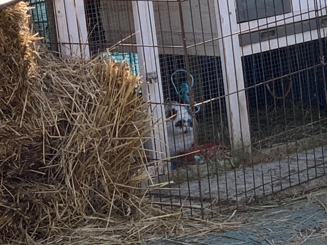 Natural Valley Ranch-Brownsburg必去景点