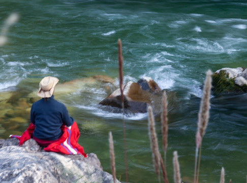 ALPINE NATURE BEYOND PVT LTD-大吉岭必去景点