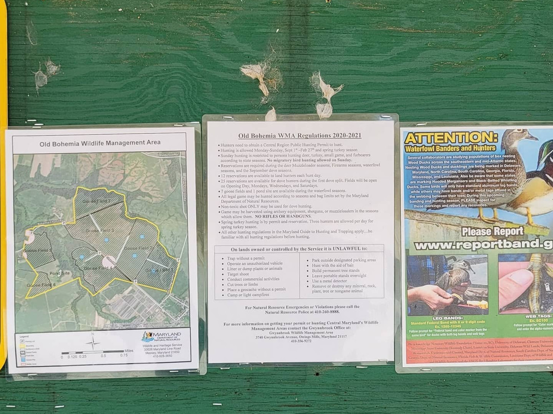 Old Bohemia Wildlife Management Area-Warwick必去景点