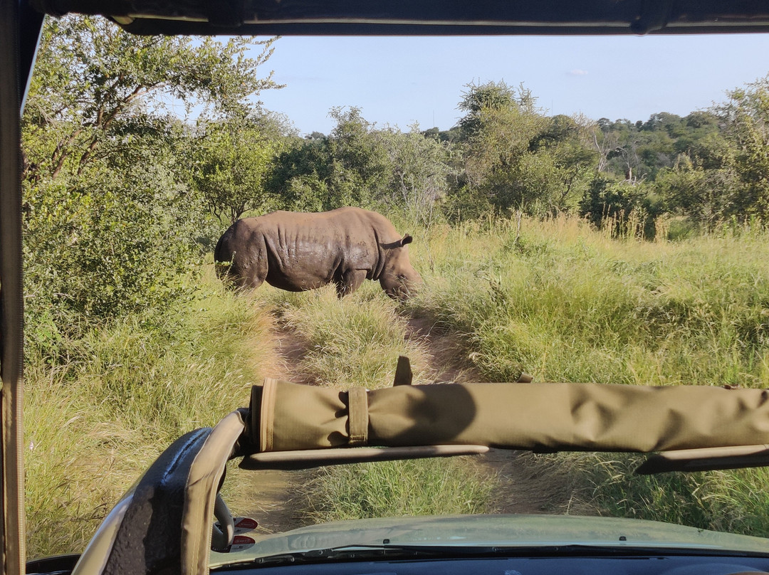 Crossroads Safaris & Tours-克鲁格国家公园必去景点