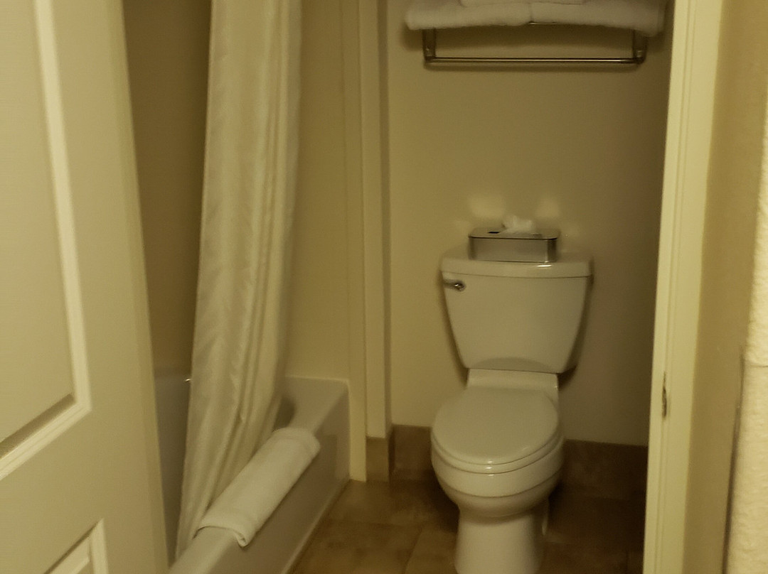 Best Western Plus Castle Rock主图