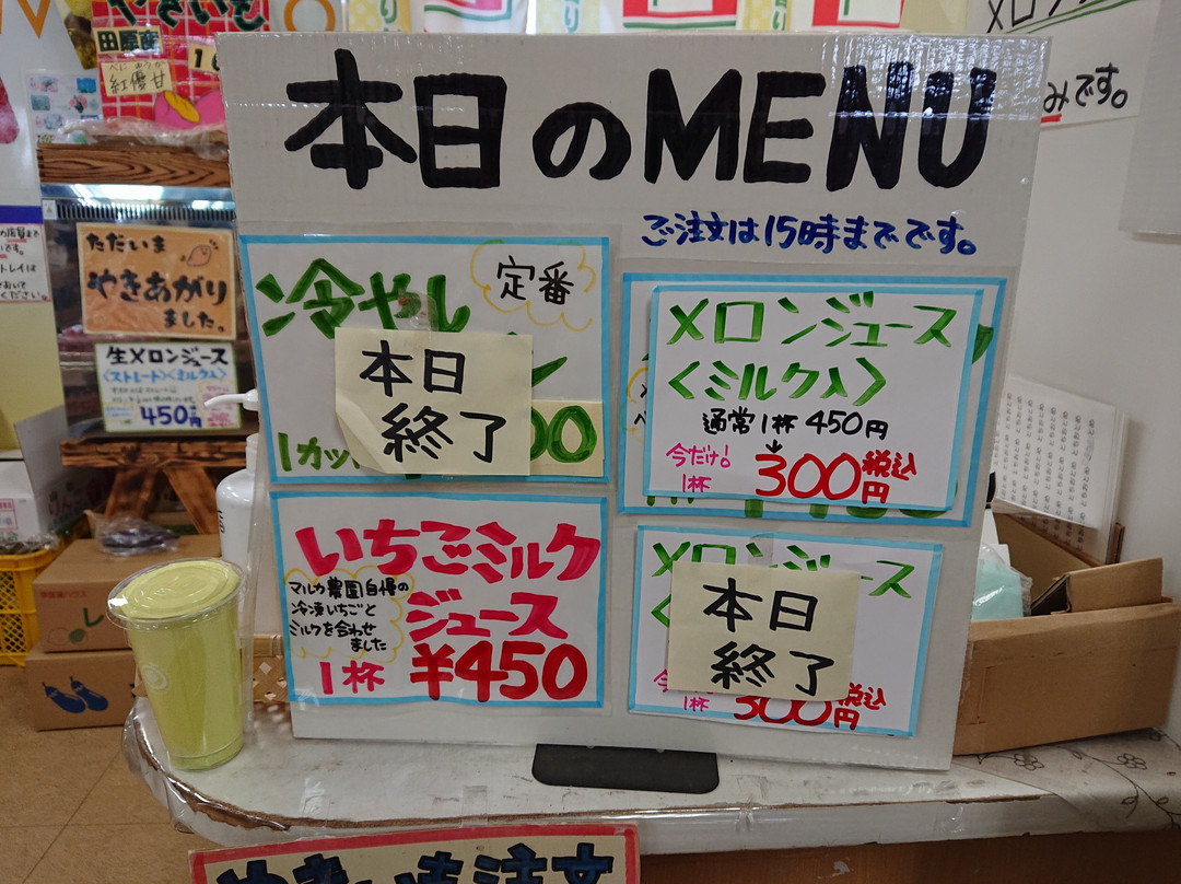 Michi-no-Eki Akabane Loco Station-田原市必去景点